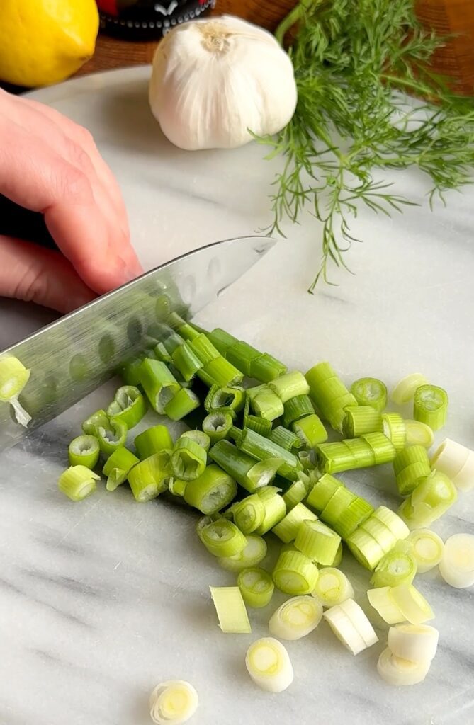 spring onions chop