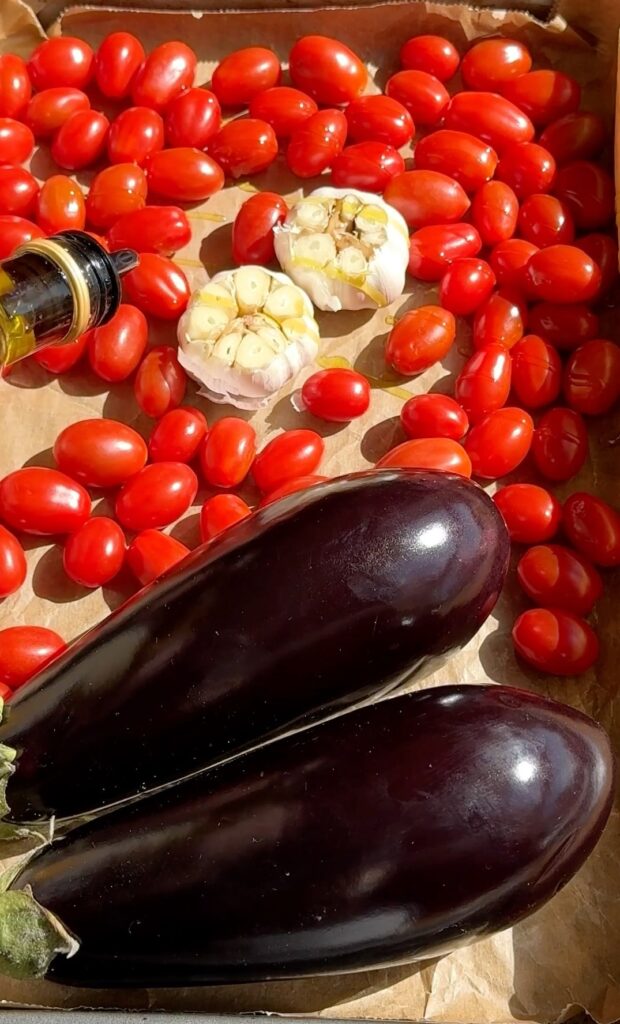 Crispy Eggplant Schnitzel with Roasted Cherry Tomato Sauce