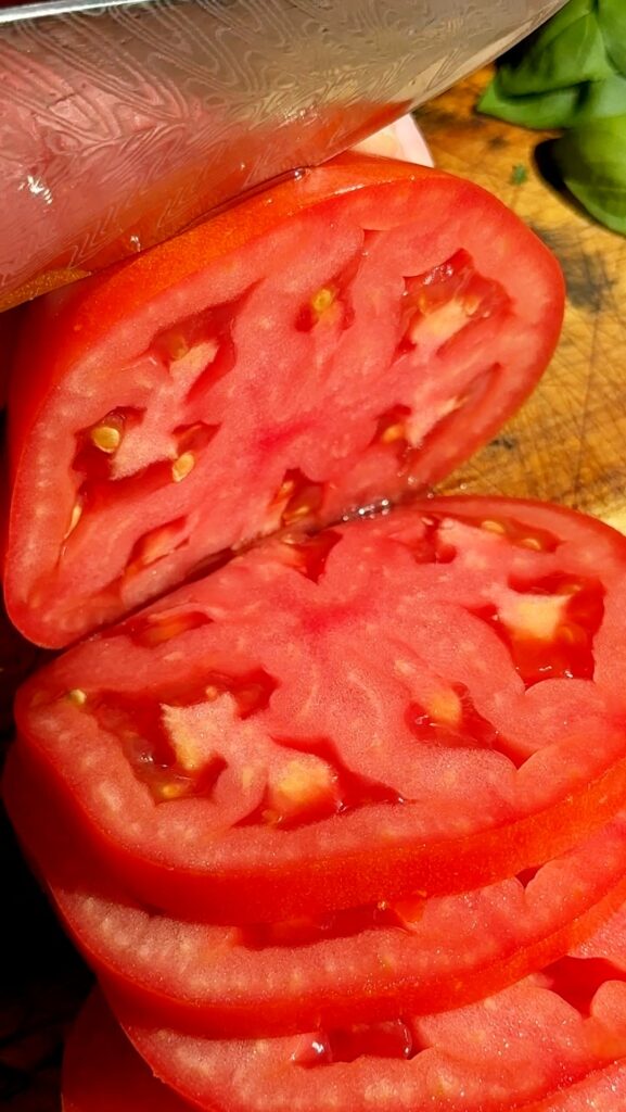 Tomato Burrata Sandwich