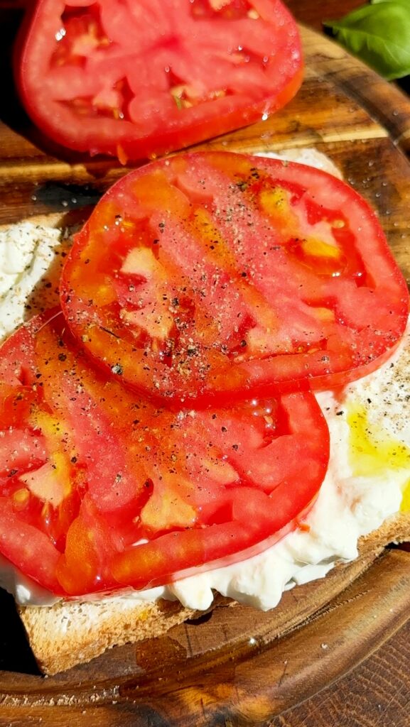 Tomato Burrata Sandwich