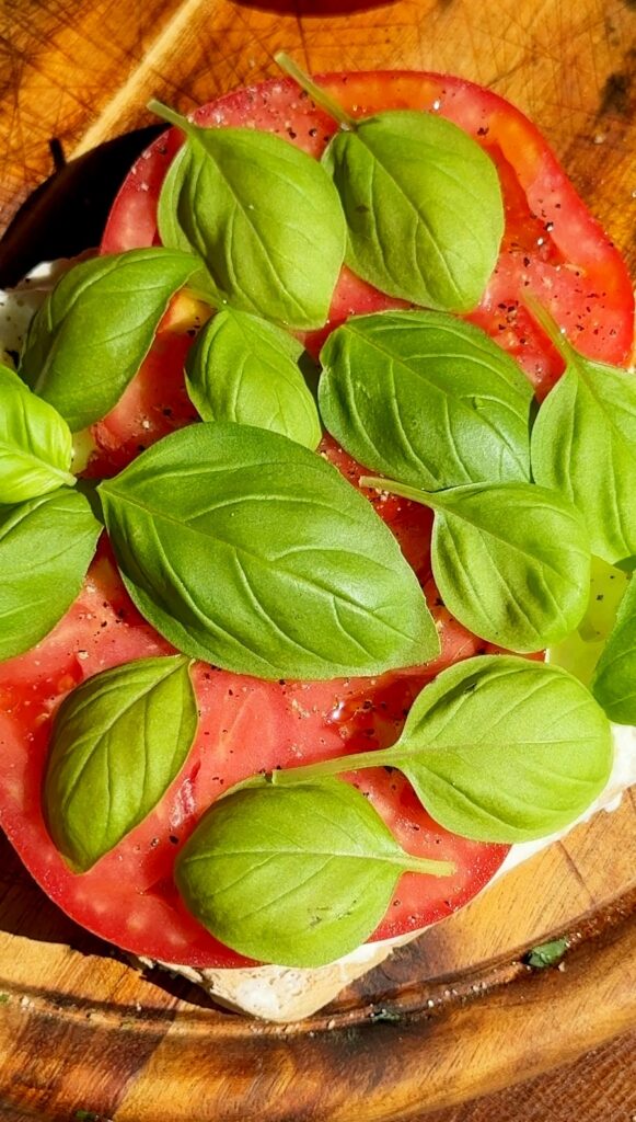 Tomato Burrata Sandwich