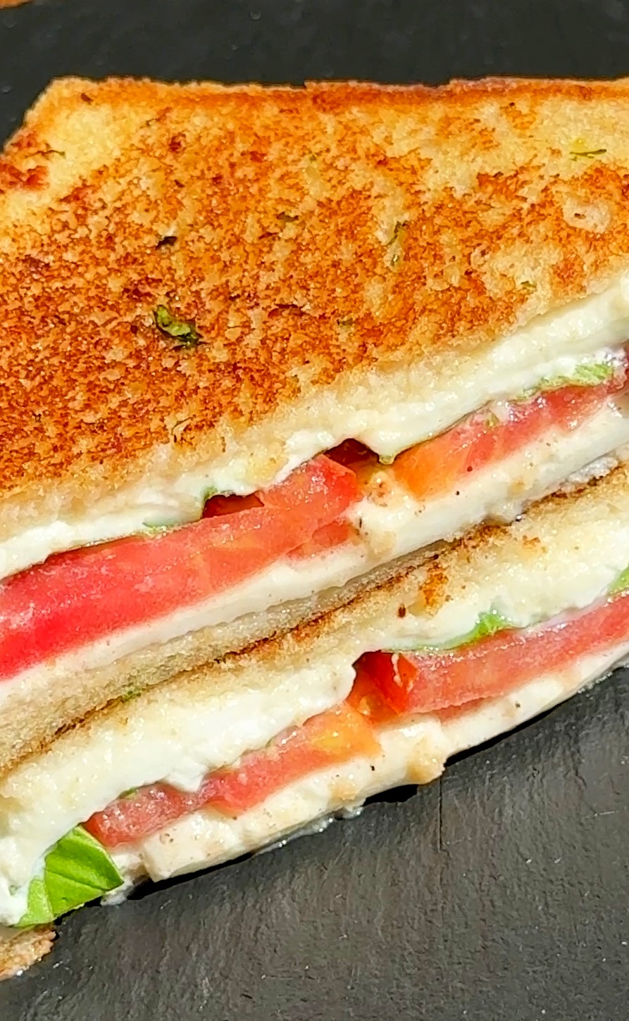 Tomato Burrata Sandwich