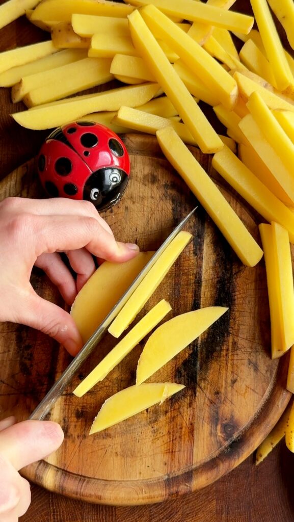 Crispy Parmesan Air Fryer Fries