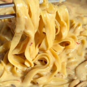 Creamy Mushroom Tagliatelle